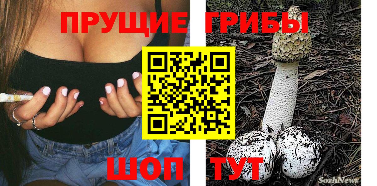 Псилоцибиновые грибы MAGIC MUSHROOMS  Галлюциногенные грибы мицелий  Вход с VPN  купить  цена  Нарьян-Мар 